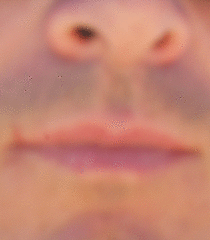 ioavatar