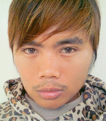 iconstyle