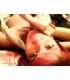 joanna_samson00